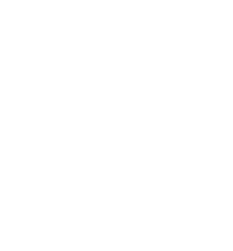 GESICHTSBEHANDLUNGEN